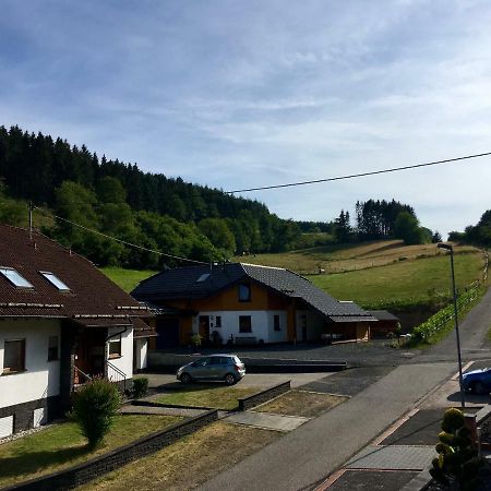 Ferienwohnung Am Nuerburgring/Wintersport Arft Acht Eksteriør bilde
