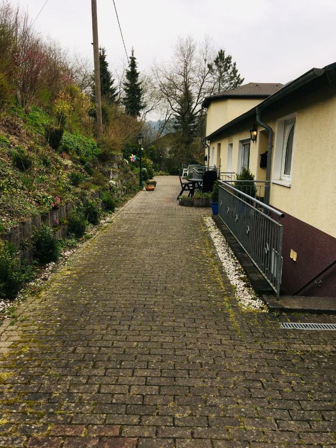 Ferienwohnung Am Nuerburgring/Wintersport Arft Acht Eksteriør bilde